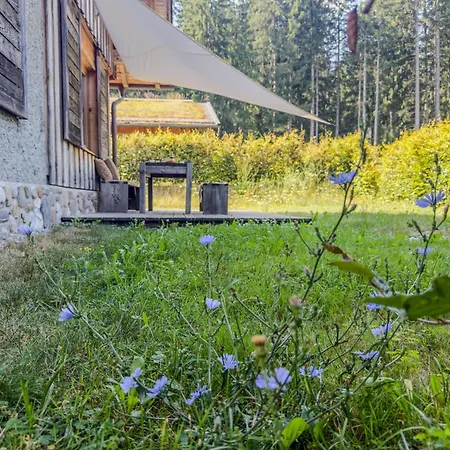 Chalet Auen 53