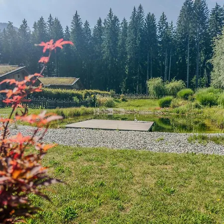Chalet Auen 53 *
