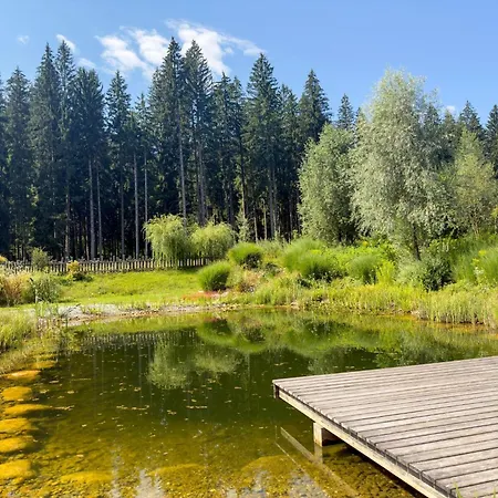 Chalet Auen 53